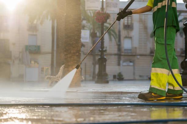 Best Roof Pressure Washing  in Weldon, CA